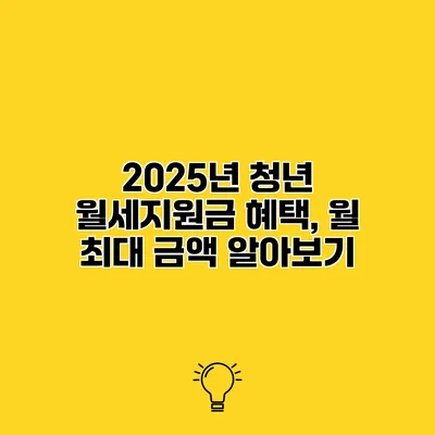 2025년 청년 월세지원금 혜택, 월 최대 금액 알아보기
