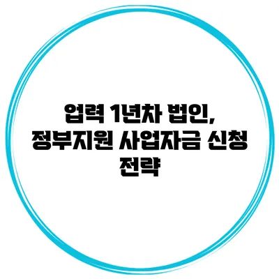 업력 1년차 법인, 정부지원 사업자금 신청 전략