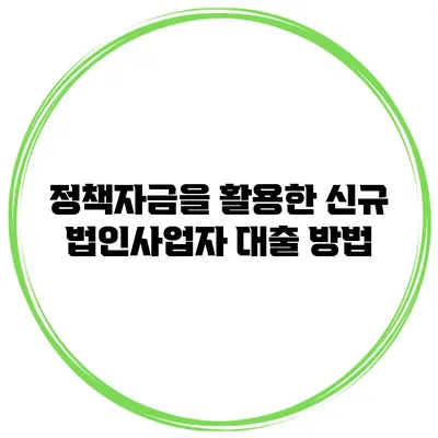 정책자금을 활용한 신규 법인사업자 대출 방법