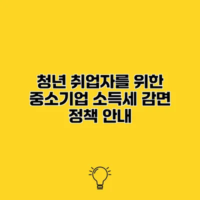 청년 취업자를 위한 중소기업 소득세 감면 정책 안내